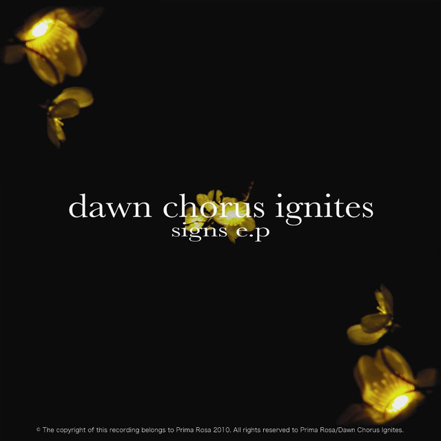 Dawn Chorus Ignites