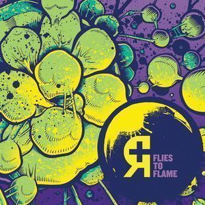 Flies To Flame [EP]