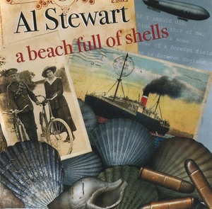 A Beach Full Of Shells