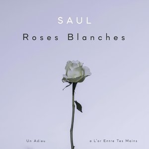 Roses Blanches