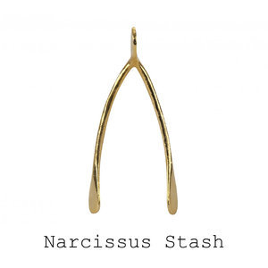 Narcissus Stash
