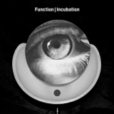 Function - Incubation '2013