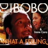DJ Bobo - What A Feeling '2000