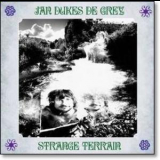 Jan Dukes De Grey - Strange Terrain '2011