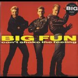 Big Fun - Can't Shake The Feeling [CDM] '1989