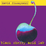 David Fiuczynski - Black Cherry Acid Lab '2002