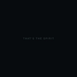Bring Me The Horizon - That's The Spirit '2015