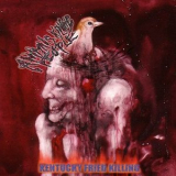 Animals Killing People - Kentucky Fried Killing '2008