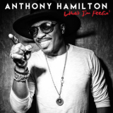 Anthony Hamilton - What I'm Feelin' '2016