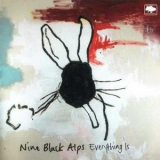 Nine Black Alps - Everything Is '2005