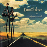 Bunchakeze - Whose Dream? '2010