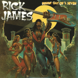 Rick James - Bustin' Out Of L Seven '1979