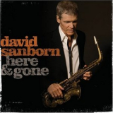 David Sanborn - Here & Gone '2008