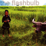 The Flashbulb - Resent And The April Sunshine Shed '2003