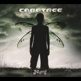 Carptree - Nymf '2010