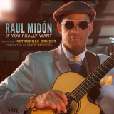 Raul Midon - If You Really Want '2018