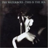 The Waterboys - This Is The Sea '1985