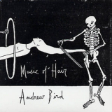 Andrew Bird - Music Of Hair '2013