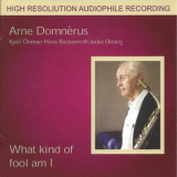 Arne Domnerus - What Kind Of Fool Am I '2007