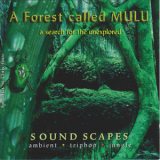 Junkie XL - A Forest Called Mulu '1997
