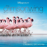 The Cinematic Orchestra - The Crimson Wing: Mystery Of The Flamingos '2008
