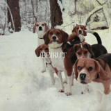 Beirut - East Harlem (single, Digital Release) '2011
