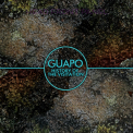 Guapo - History Of The Visitation [webs] '2013