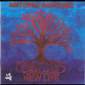 Antonio Sanchez - New Life '2013