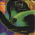 Toad The Wet Sprocket - Something's Always Wrong [promo] '1994