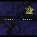 James Blood Ulmer - Blue Blood '2001