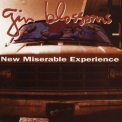 Gin Blossoms - New Miserable Experience '1992