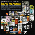 Dead Meadow - Got Live If You Want It '2002