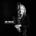 Joe Walsh - Analog Man '2012