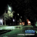 Stillife - Raining December '2001
