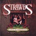 The Strawbs - Live In America '2007