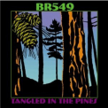 Br549 - Tangled In The Pines '2004