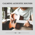 Various Artists - Calming Acoustic Sounds '2022