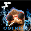 Crack The Sky - Ostrich '2012
