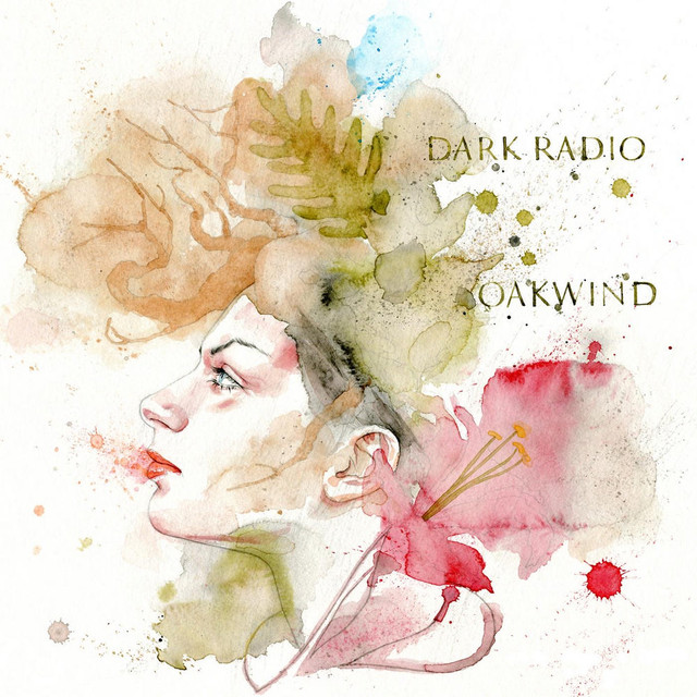 Dark Radio