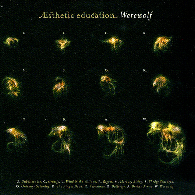 Esthetic Education