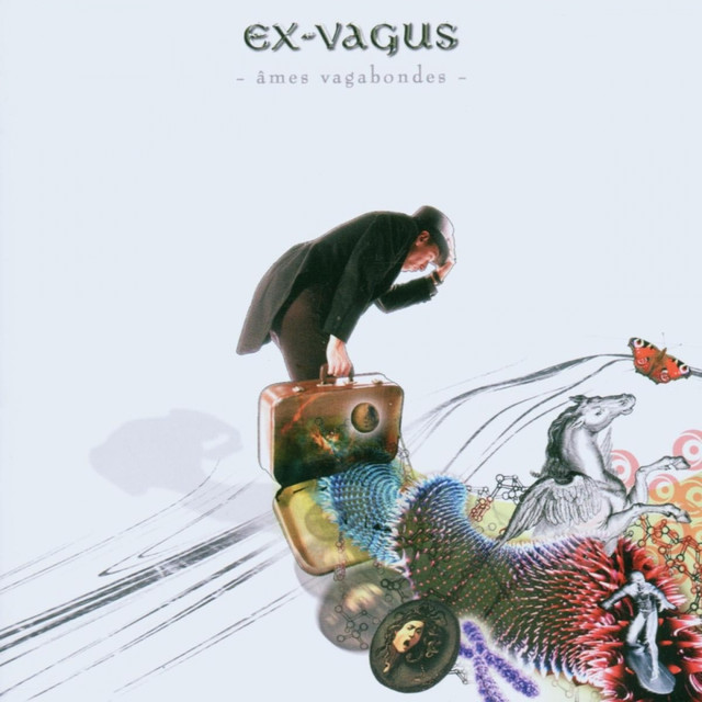 Ex-vagus