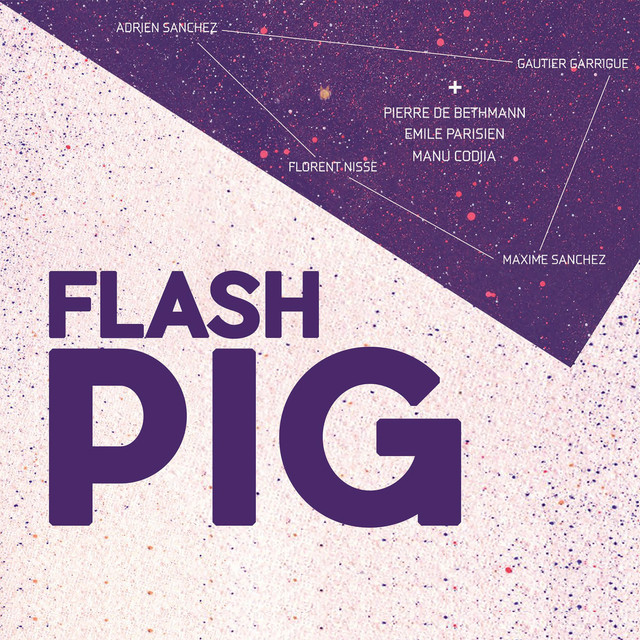 Flash Pig