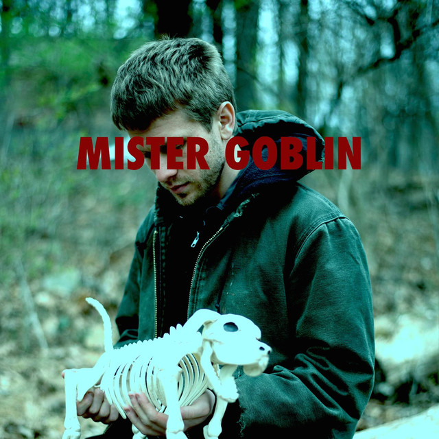 Mister Goblin