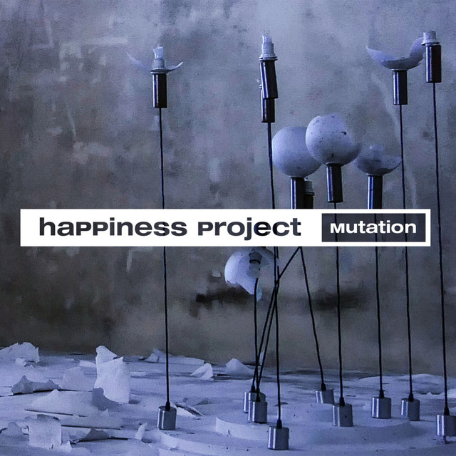 Happiness Project