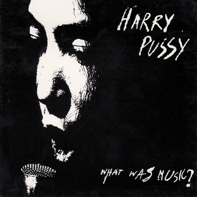 Harry Pussy