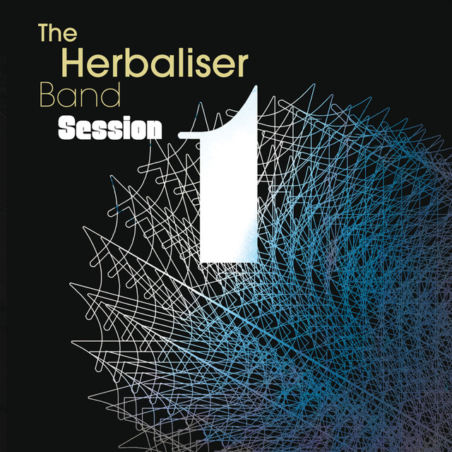 The Herbaliser Band