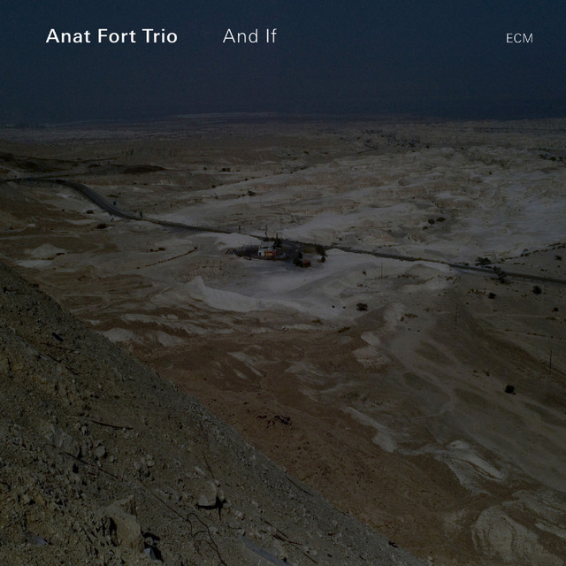 Anat Fort Trio