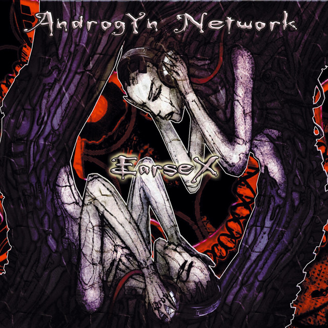 Androgyn Network