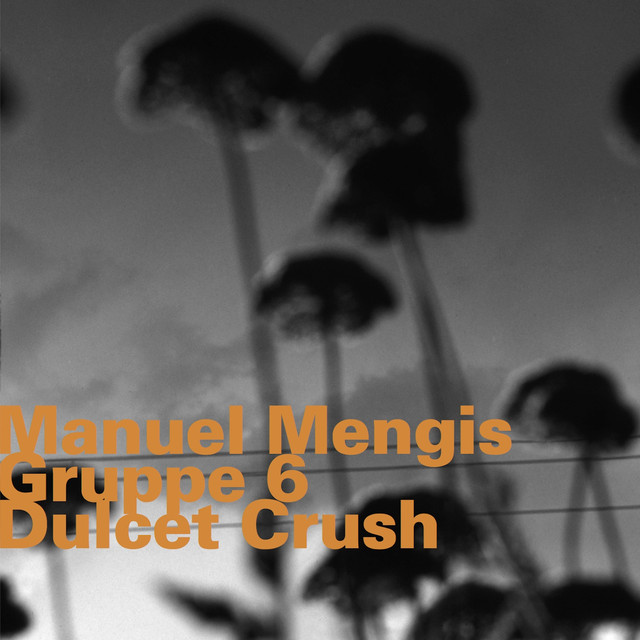 Manuel Mengis Gruppe 6