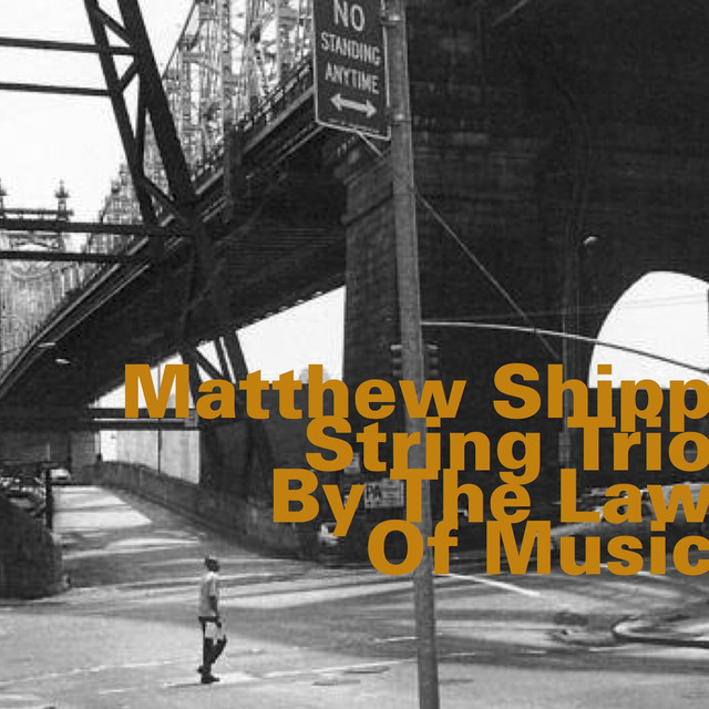 Matthew Shipp String Trio